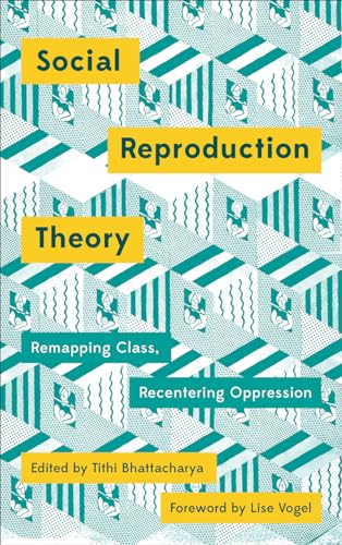 Social Reproduction Theory: Remapping Class, Recentering Oppression (Mapping Social Reproduction Theory) von Pluto Press (UK)